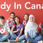 Group of students with Canadian flags sitting near color wall