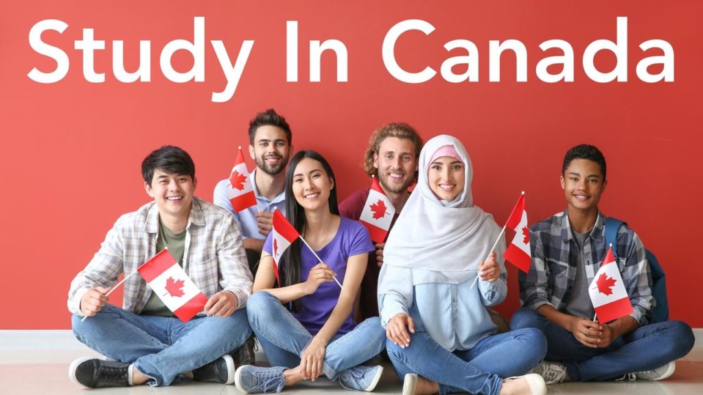 Group of students with Canadian flags sitting near color wall